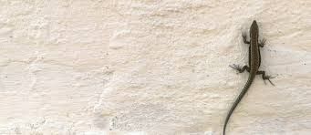 f8c8ad7648.jpg