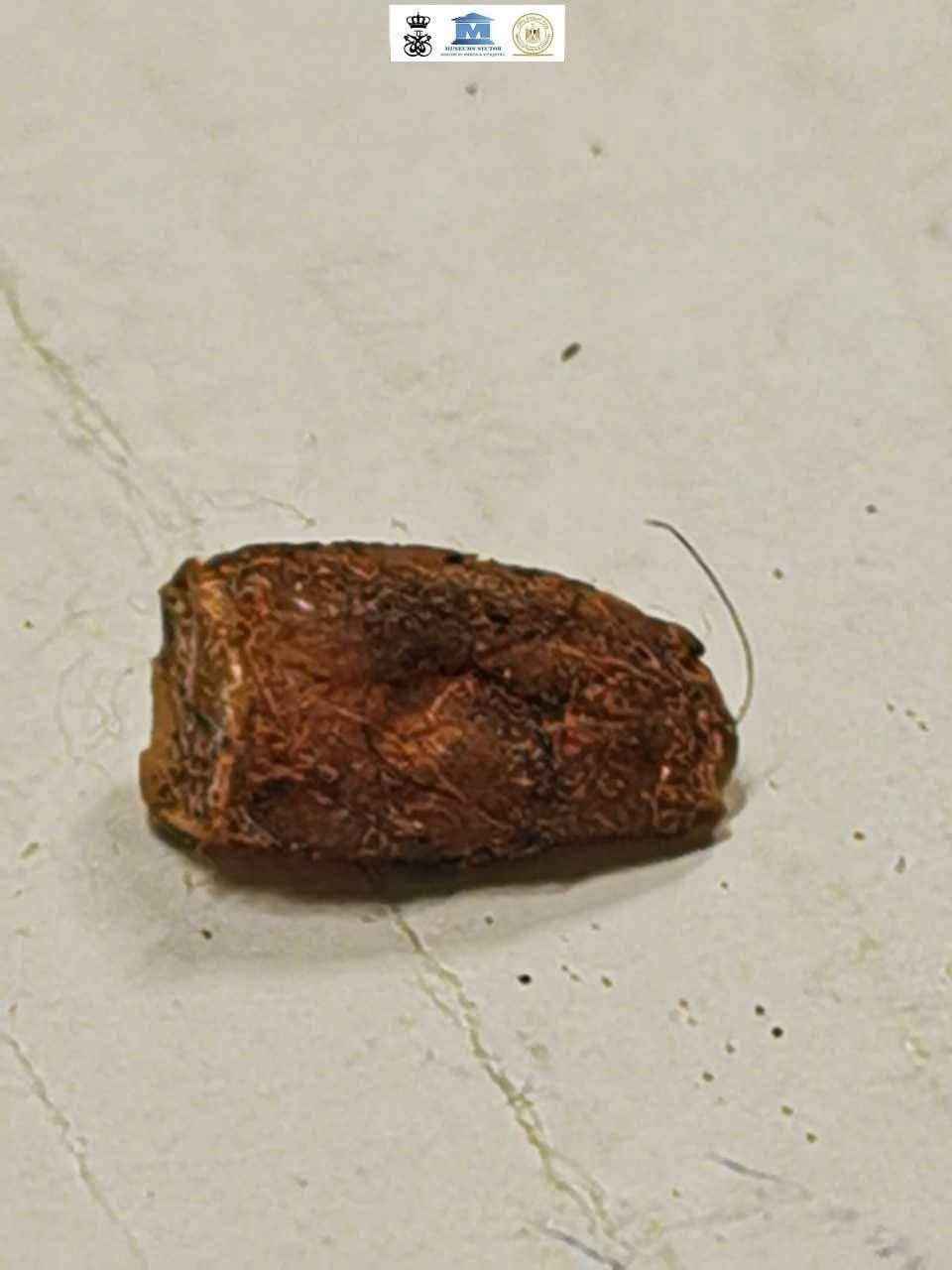 3f6b9da512.jpg