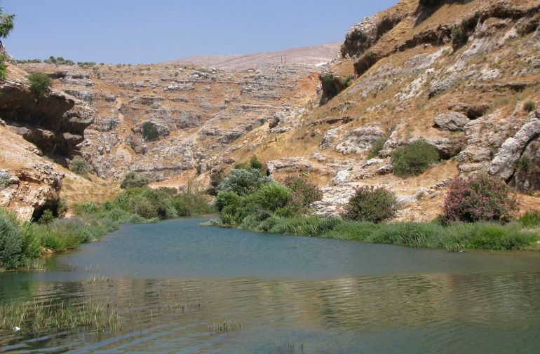 (رويترز)