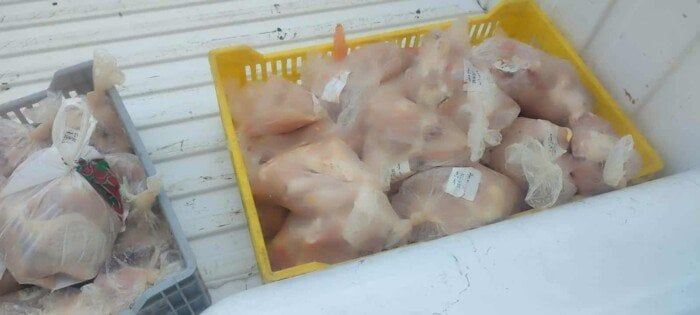 ضبط 40 كيلو دجاج منتهية الصلاحية بمطعم شهير في بورسعيد ضبط 40 كيلو دجاج منتهية الصلاحية بمطعم شهير في بورسعيد
