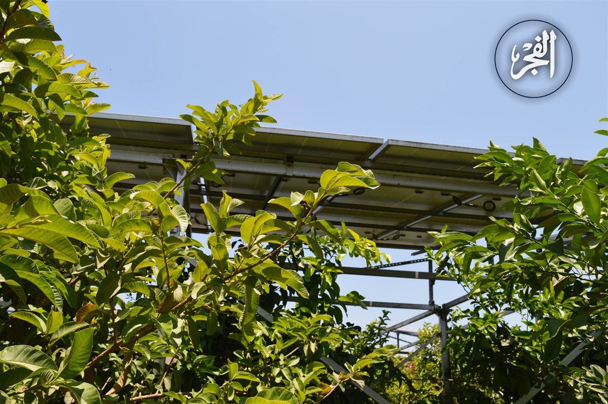 2f8800cce2.jpg