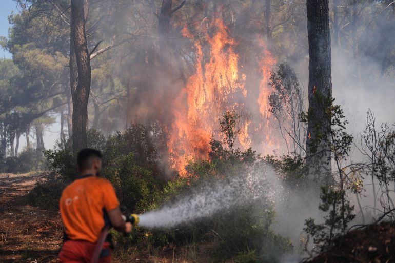 IZMIR, TURKIYE - JULY 04: Flames rise from burning trees while intervention continues against the fire that broke out in the forest area in Buca district of Izmir, Turkiye on July 04, 2025. (Photo by Hakan Akgun/Anadolu via Getty Images)