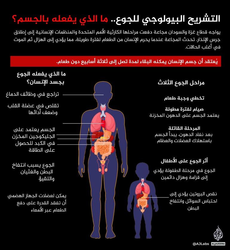 تصميم خاص - إنفوغراف - التشريح البيولوجي للجوع.. ما الذي يفعله بالجسم؟