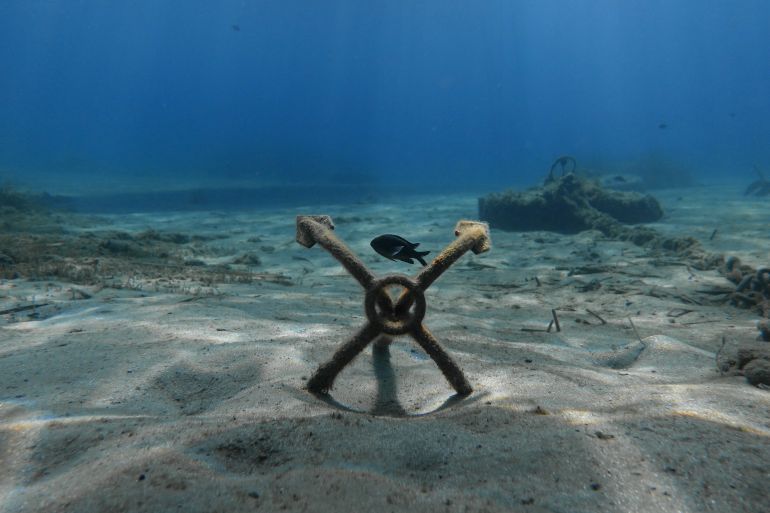 A fish swims by an anchor at the bottom of the sea off the island of Sifnos, Greece, August 16, 2018. Picture taken August 16, 2018. REUTERS/Stelios Misinas