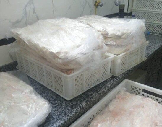 بيطري القليوبية يضبط 3.7 طن منتجات حيوانية مجهولة المصدر