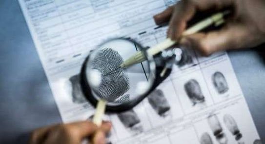 حبس عصابة تزوير المستندات الرسمية في الوايلي