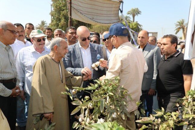محافظ بني سويف يفتتح موسم جمع القطن من قرية النويرة
