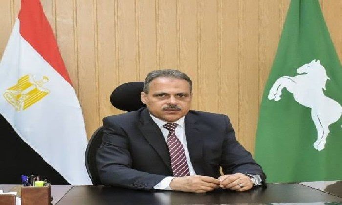 محافظ الشرقية يُقرر إيقاف خدمات 9 من العاملين بالأقسام الهندسية بأبوحماد محافظ الشرقية يُقرر إيقاف خدمات 9 من العاملين بالأقسام الهندسية بأبوحماد