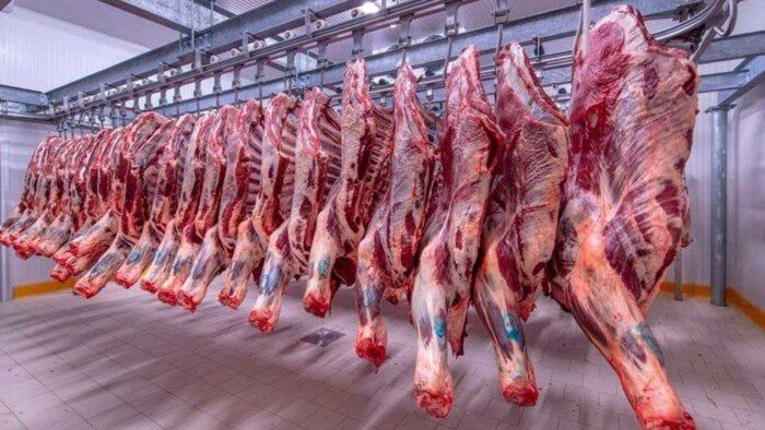 الكندوز بـ 420 جنيها.. أسعار اللحوم اليوم الخميس 21 أغسطس 2025 الكندوز بـ 420 جنيها.. أسعار اللحوم اليوم الخميس 21 أغسطس 2025