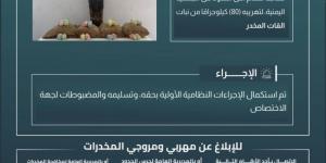 حرس الحدود بجازان يقبض على مخالف لتهريبه (80) كيلوجرامًا من القات المخدر - الكويت الاخباري