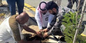 بيئة جدة تنفذ مبادرة لتشجير سجن حدّا - الكويت الاخباري