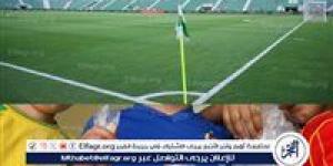 ناد إسباني يحرم جماهيره من تناول "البذور" بسبب الجرذان - الكويت الاخباري
