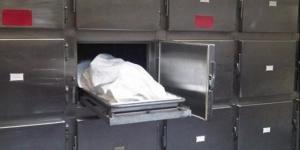 مصرع سيدة وإصابة ثلاثة أطفال مجهولين فى حادث تصادم بالدقهلية - الكويت الاخباري