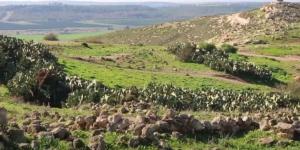 دير رافات.. قرية مقدسية آوت "ملكة فلسطين" - الكويت الاخباري