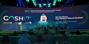 المشيطي: المملكة أنجزت 93% من المؤشرات السنوية لرؤية 2030 - الكويت الاخباري