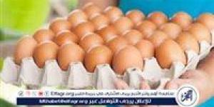 أسعار طبق البيض اليوم الاثنين 5-5-2025 في قنا - الكويت الاخباري