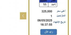 سعرها 325 ألف جنيه.. خطوات التزايد على لوحة سيارة مميزة - الكويت الاخباري