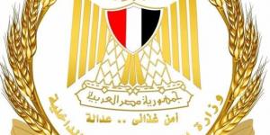 بـ 125 جنيهًاالتموين يواصل ضخ الدواجن المجمدة بالمجمعات بأسعار مخفضة - الكويت الاخباري