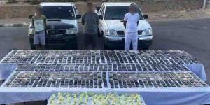 حشيش وهيدرو.. إحباط ترويج مخدرات بـ 3 ملايين جنيه في دهب - الكويت الاخباري