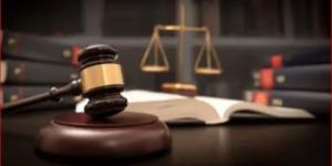 بعد قليل.. أولى جلسات محاكمة عاطلين بتهمة تزوير أوراق رسمية في عين شمس - الكويت الاخباري