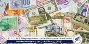 متوسط أسعار العملات الأجنبية أمام الجنيه اليوم الثلاثاء 6-5-2025 في البنك المركزي المصري - الكويت الاخباري