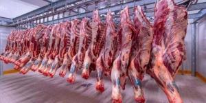 أسعار اللحوم الحمراء اليوم الثلاثاء - الكويت الاخباري