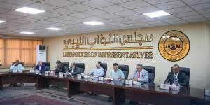 حماد يبحث مع لجنة المالية النيابية مشروع ميزانية 2025 ويؤكد: الشفافية وعدالة التوزيع أولوية - الكويت الاخباري