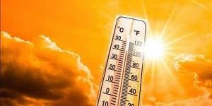حار نهاراً.. حالة الطقس المتوقعة اليوم الأربعاء 7 مايو 2025 - الكويت الاخباري