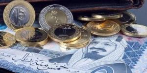 أسعار الريال السعودى في مصر اليوم الاربعاء - الكويت الاخباري