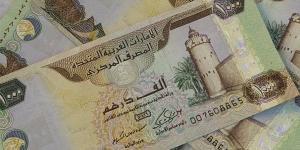 سعر الدرهم الإماراتي مقابل الجنيه المصري اليوم الخميس 8 مايو 2025 - الكويت الاخباري