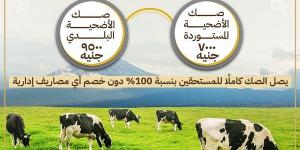 الاوقاف تُطلق حملة صكوك الأضاحي لعام ١٤٤٦هـ / ٢٠٢٥م #الاضحية #صكوك_الاضاحى_الاوقاف #حملة صكوك _أضاحى_الاوقاف - الكويت الاخباري