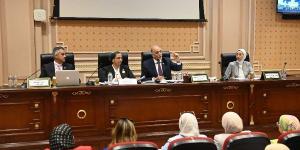 28 مليون جنيه لموازنة القومي لذوي الإعاقة في 2025/2026 .. تفاصيل - الكويت الاخباري