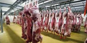 أسعار اللحوم الحمراء اليوم الخميس - الكويت الاخباري