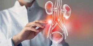 حرارة الصيف والتهابات المسالك البولية خطر يهدد النساء والأطفال #الصحة #منوعات #اخبار_الصحة #اخبار_منوعة #لايف_ستايل #الجمهورية_أون_لاين - الكويت الاخباري