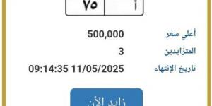وصلت لـ 500 ألف جنيه.. "المرور" تطرح التزايد على لوحة سيارة مميزة - الكويت الاخباري