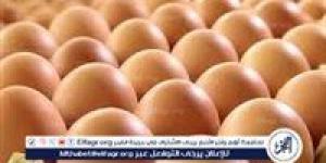 أسعار طبق البيض اليوم الجمعة 9-5-2025 في قنا - الكويت الاخباري
