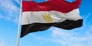 مصر تتحرك من أجل السلام والأمن.. والعرابي: نزع فتيل التوترات بالإقليم مفيد للجميع - الكويت الاخباري