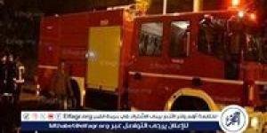 نفوق 110 رأس أغنام وتفحم 6 أشجار نخيل إثر حريق هائل  بالمنيا - الكويت الاخباري