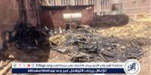 السيطرة على حريق هائل في مدرسة الزراعة بطنطا - الكويت الاخباري