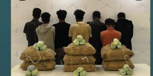 في 4 مناطق.. ضبط 16 شخصا بتهمة تهريب وترويج المخدرات - الكويت الاخباري