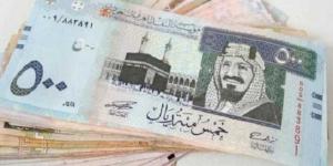 أسعار الريال السعودى في مصر اليوم الأحد - الكويت الاخباري