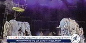 "سيرك 1903" يعيد أجواء السيرك الكلاسيكي إلى موسم جدة - الكويت الاخباري