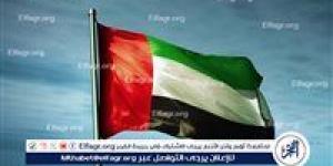 الإمارات ترحب بقرار ترامب رفع العقوبات عن سوريا - الكويت الاخباري