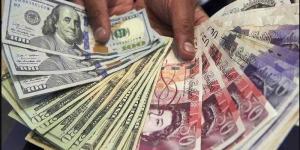 أسعار العملات في مصر اليوم الاربعاء - الكويت الاخباري