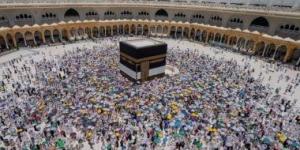 ميناء جدة الإسلامي يستقبل أولى طلائع حجاج 1446هـ - الكويت الاخباري