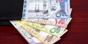 أسعار الريال السعودى في مصر اليوم الاربعاء - الكويت الاخباري