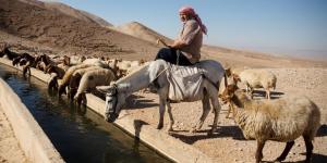 من دروس النكبة.. هكذا يواجه فلسطينيون محاولات تهجيرهم بالضفة - الكويت الاخباري