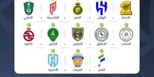 لجنة التراخيص تمنح الرخصة المحلية والآسيوية لـ 13 ناديا للموسم الرياضي 2025- 2026 - الكويت الاخباري