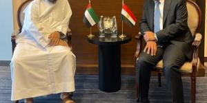 وزير الخارجية يلتقي وزير الدولة الإماراتي في بغداد - الكويت الاخباري