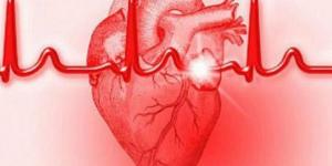 نبضات قلب المرأة والرجل دراسة تكشف الفروق #الصحة #منوعات #اخبار_الصحة #اخبار_منوعة #لايف_ستايل #الجمهورية_أون_لاين - الكويت الاخباري